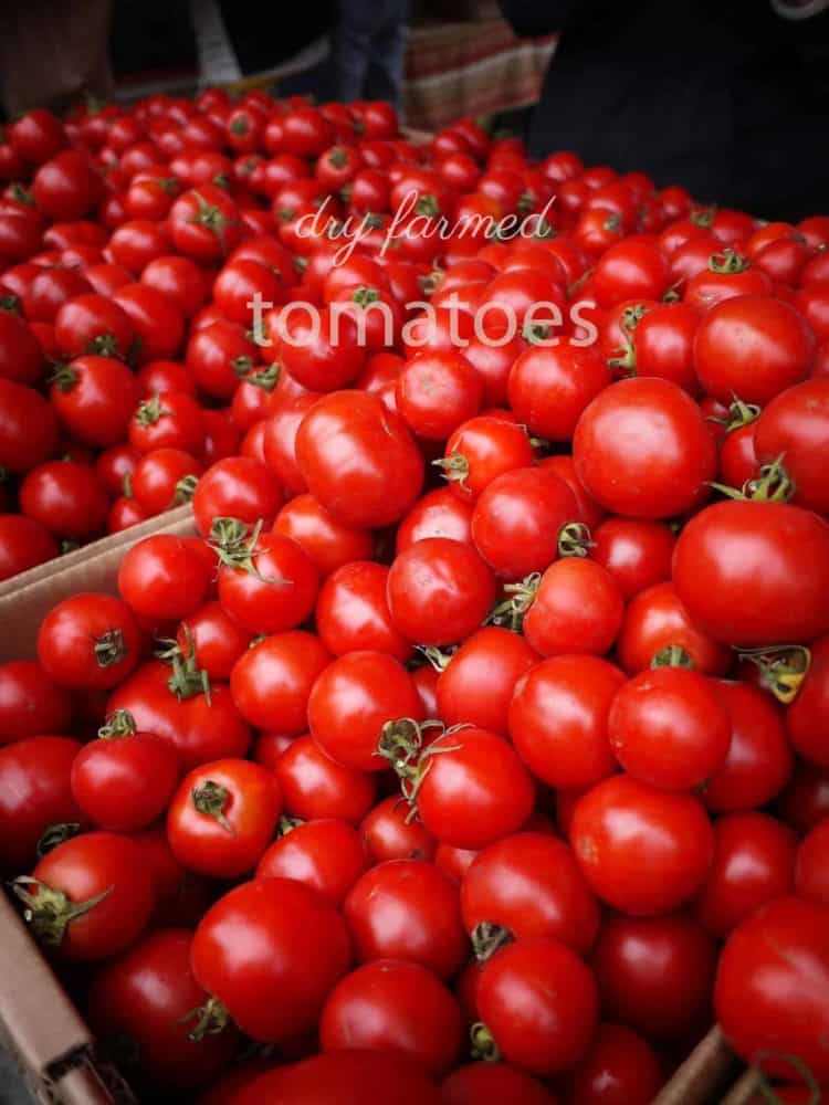 Dry Farmed Tomatoes