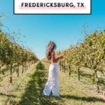 Best wineries in Fredericksburg Texas