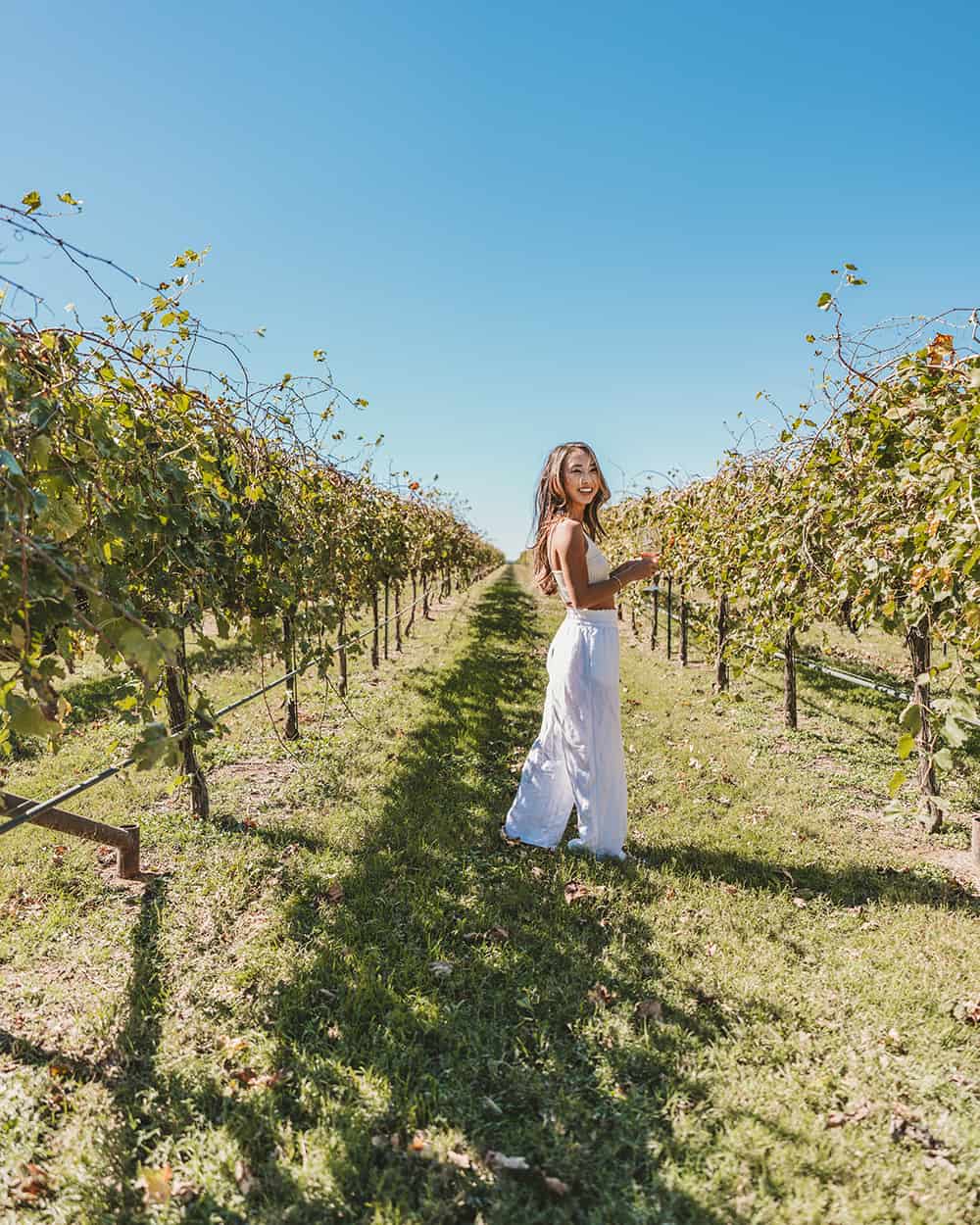 Becker Vineyards in Fredericksburg Texas