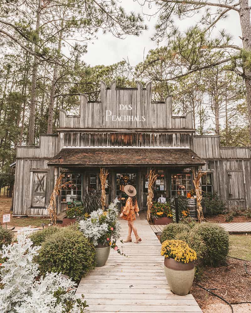 Das Peach Haus in Fredericksburg TX