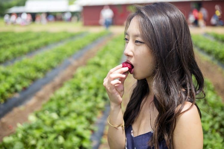 Biting Into A Freshly Picked Strawberry