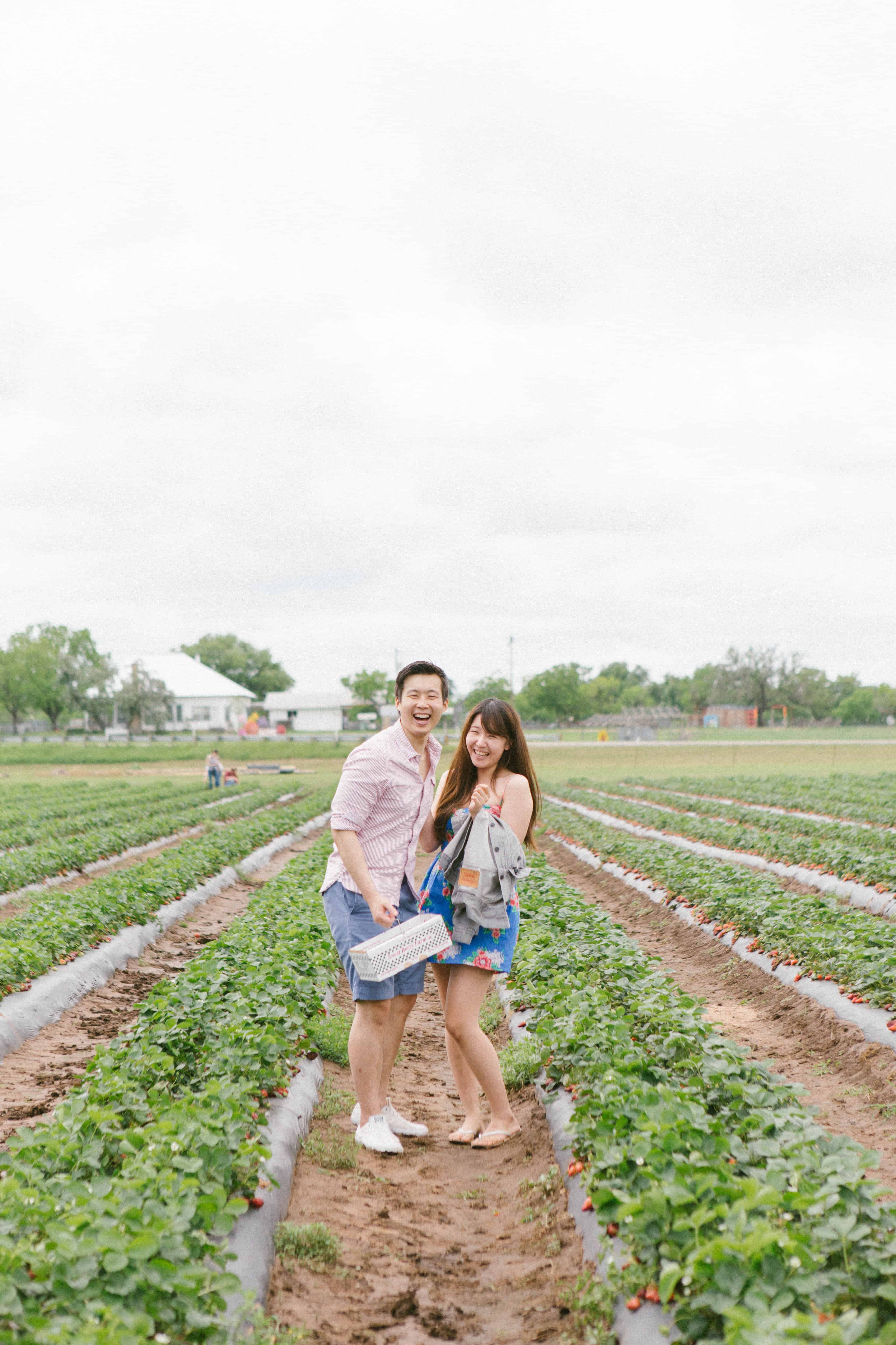 Couple Photoshoot At Strawberry Farm