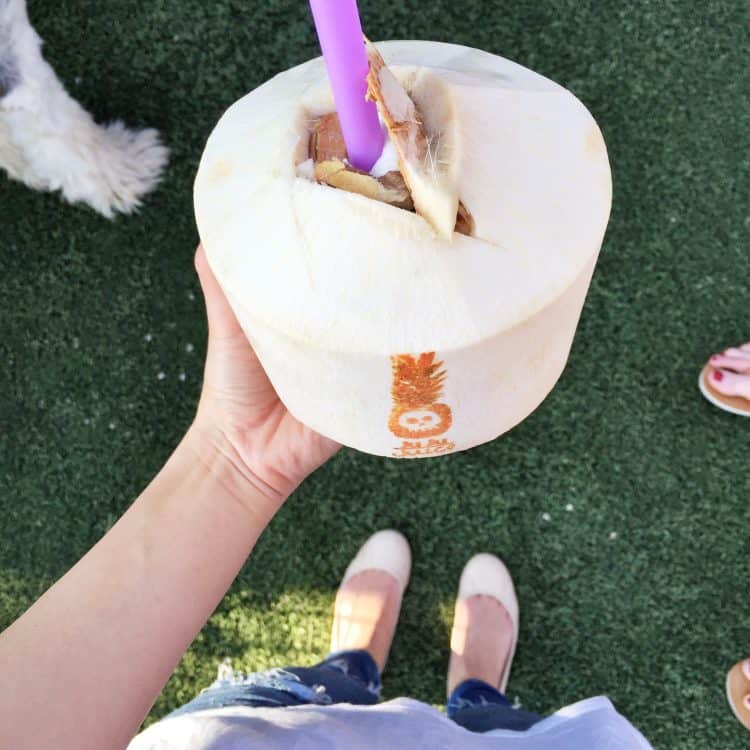 Ju Ju Juice Coconuts