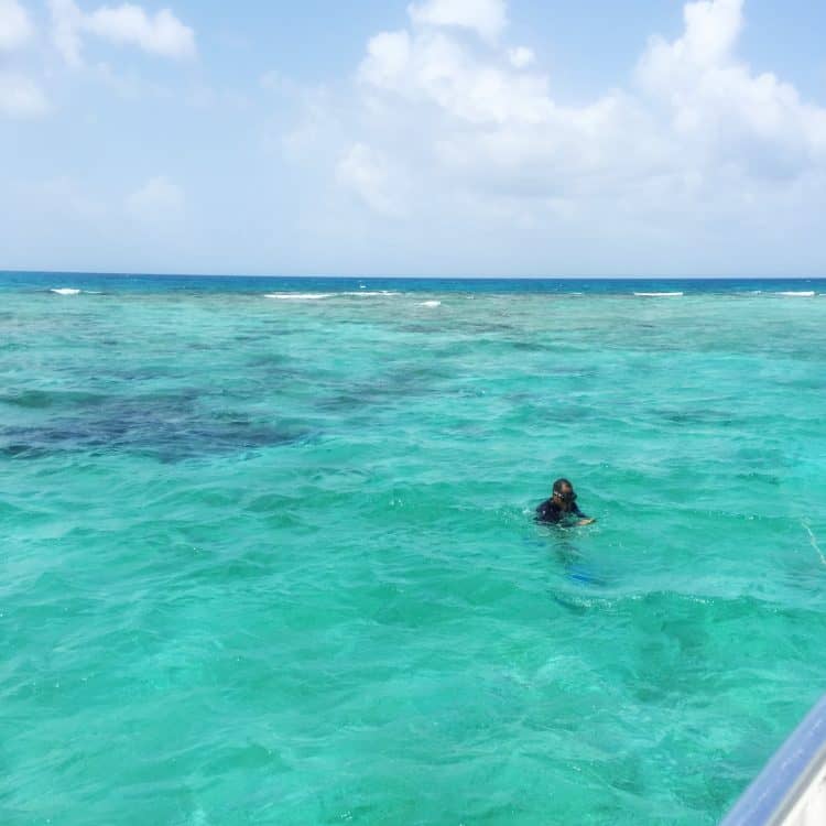 Snorkeling In Belize