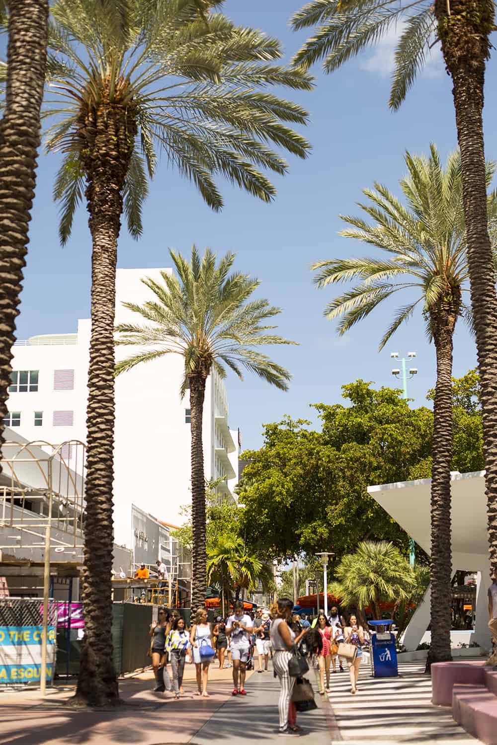 Where To Eat, Stay & Shop In South Beach Miami