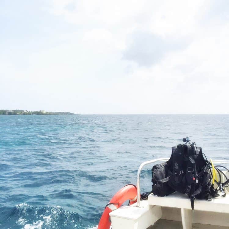 Scuba Diving In Mahogany Bay
