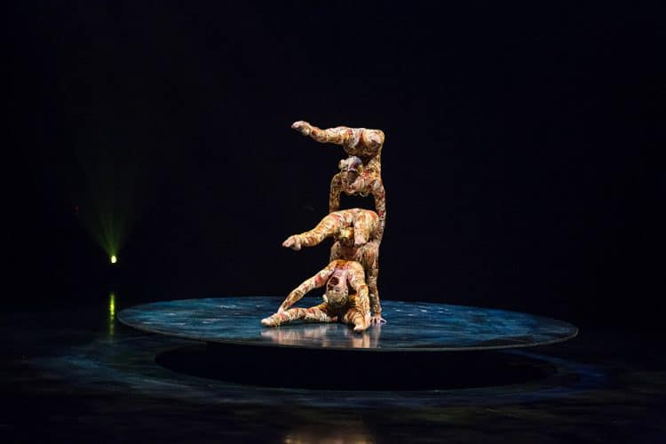 1479_04_Contorsion_130_ORIGINAL