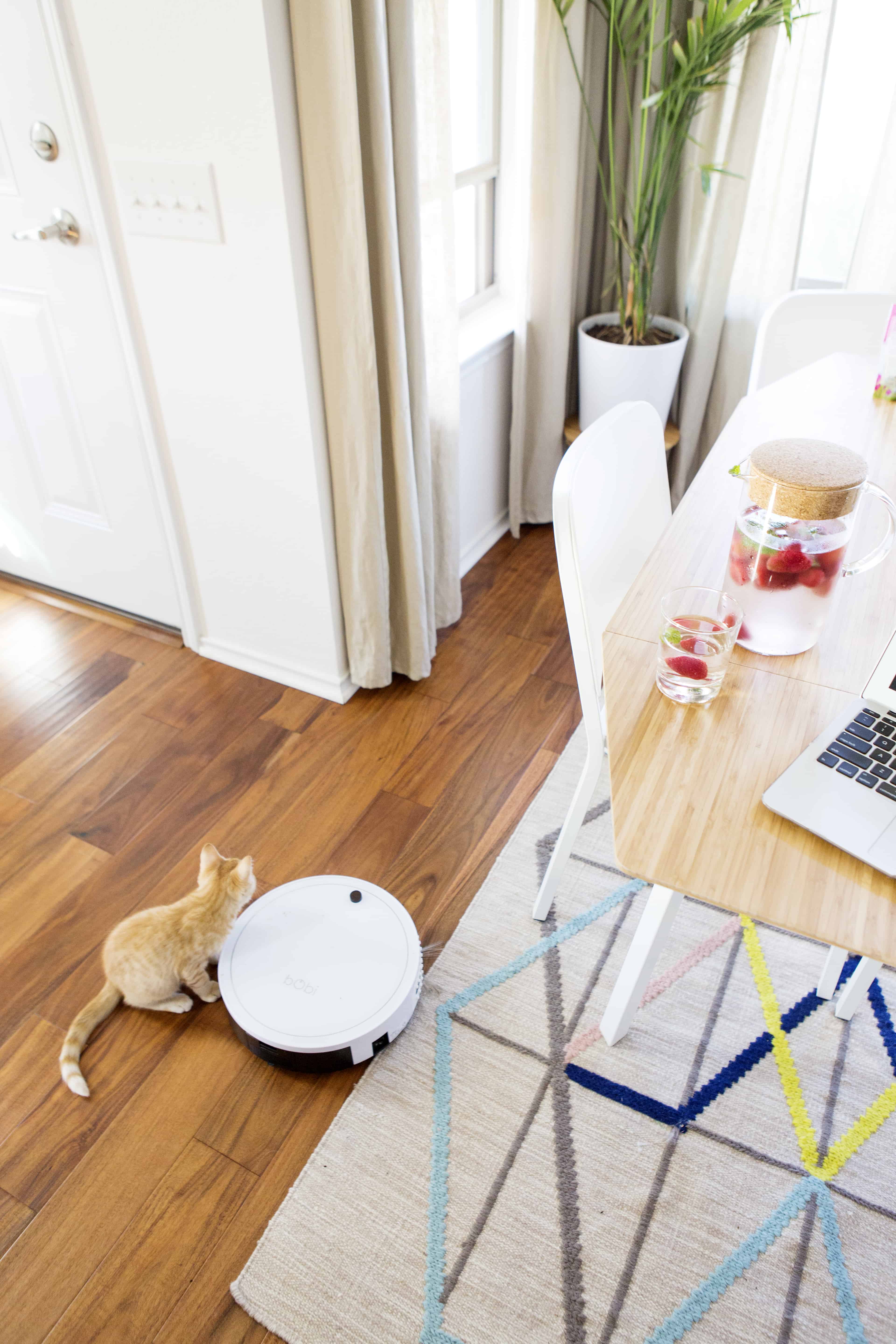 7 Reasons How bObi Robot Vacuum Changed My Life