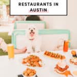 Dog Friendly Restaurants Austin