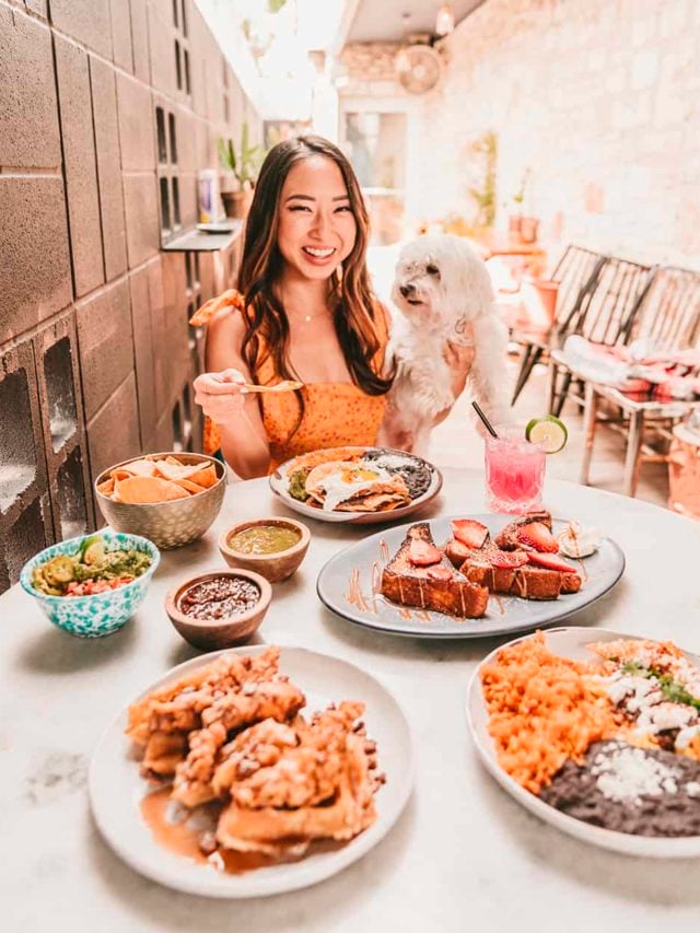 19 Best Dog Friendly Restaurants In Austin