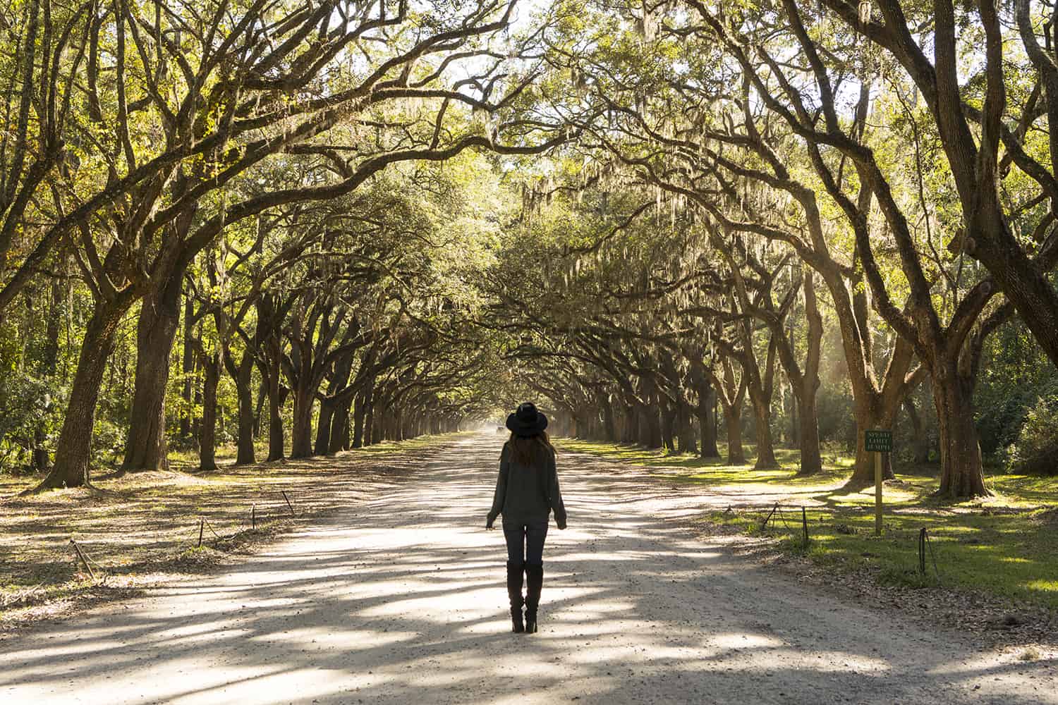 Savannah Things To Do: Where To Eat, Stay & Shop - A Taste of Koko