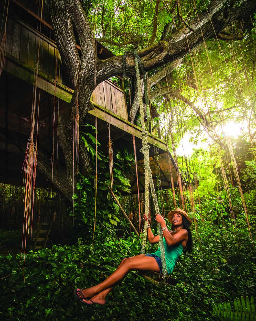 St. Croix’s rainforest