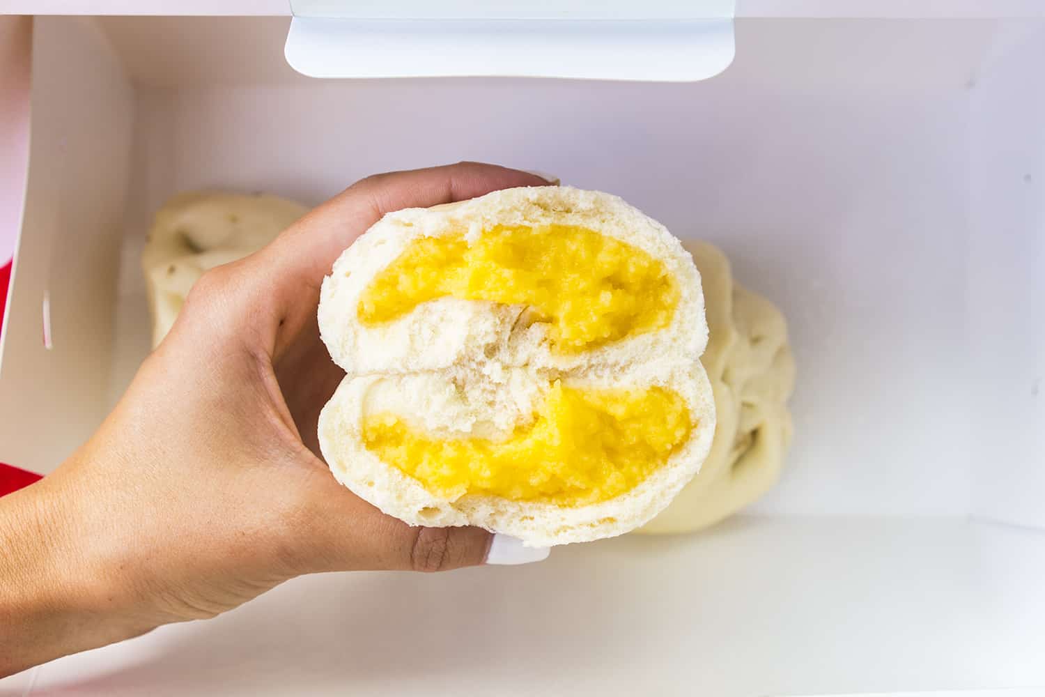 Bao'd Up Egg Bao
