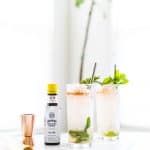 Queen Swizzle Cocktail