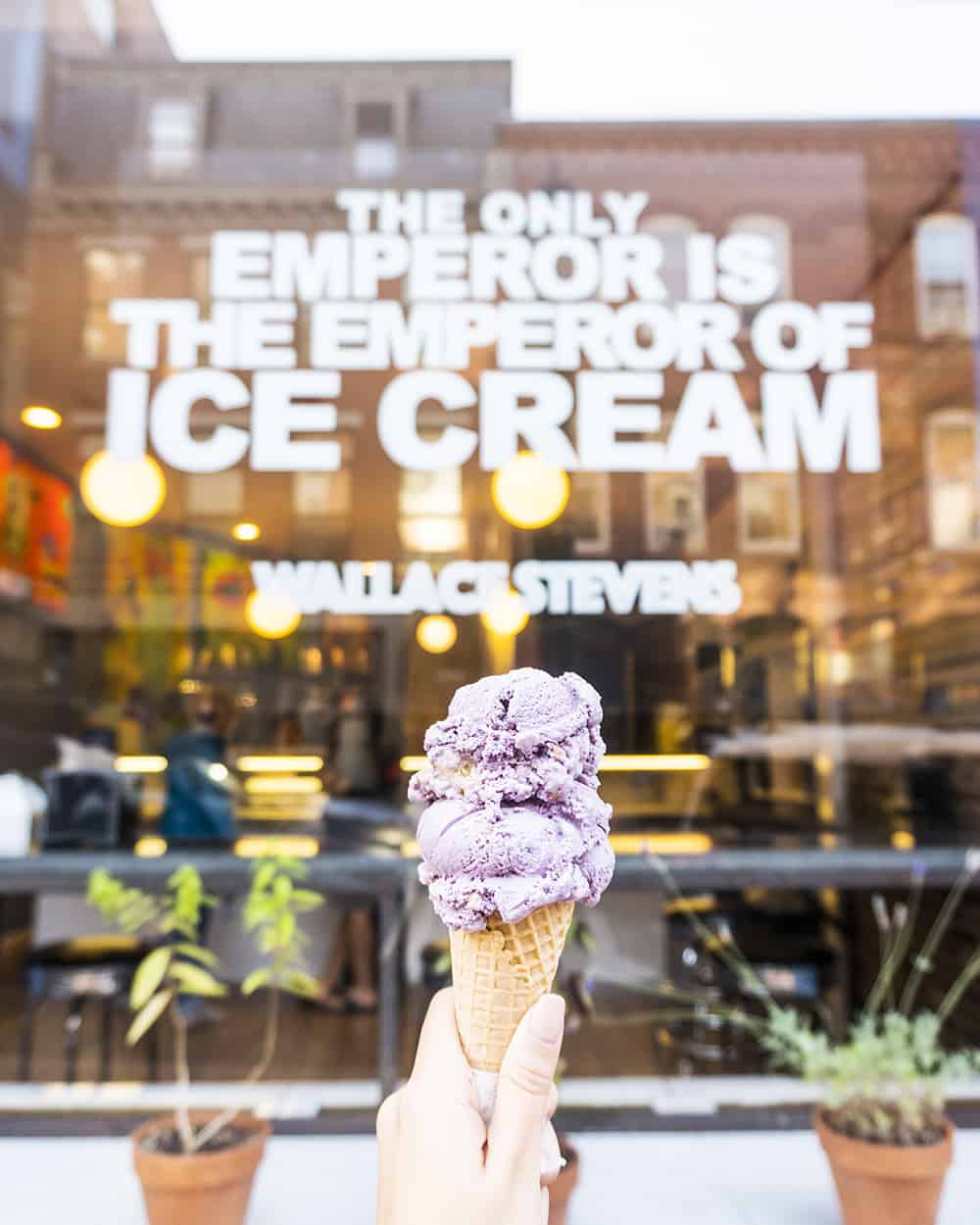 Mount Desert Island Ice Cream in Portland Maine