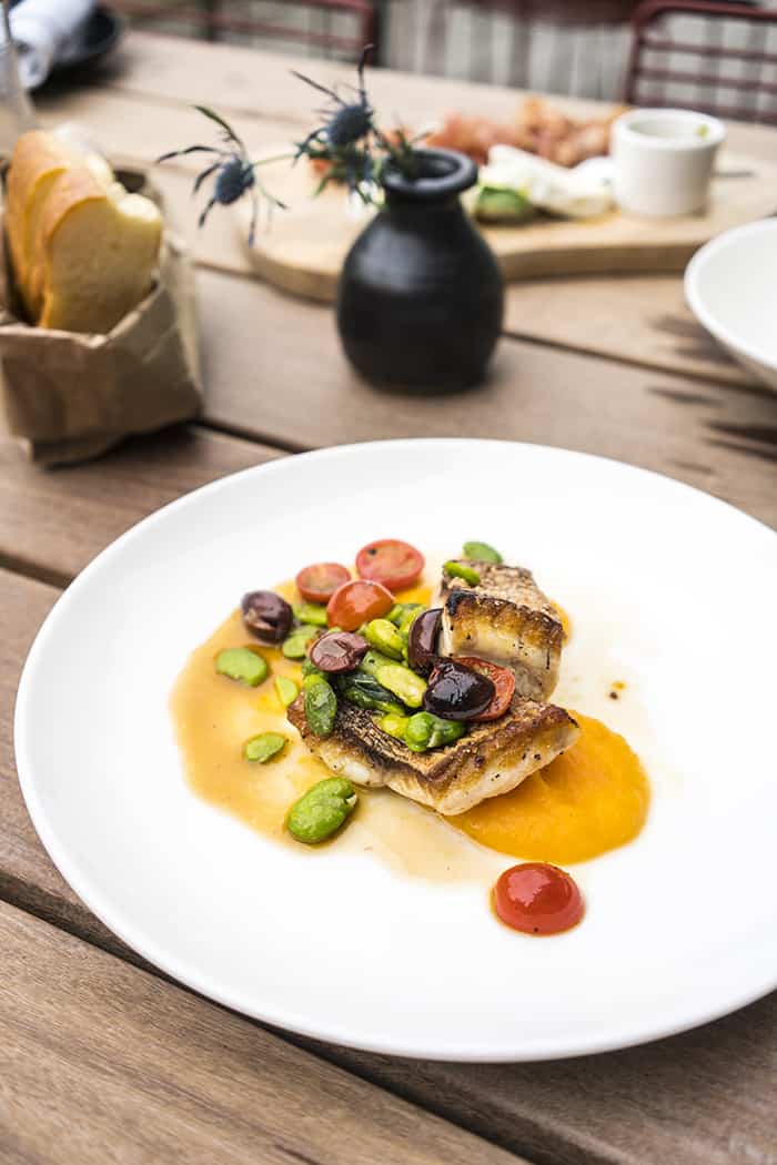 Red snapper Il Brutto