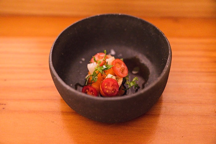 Ocean Trout