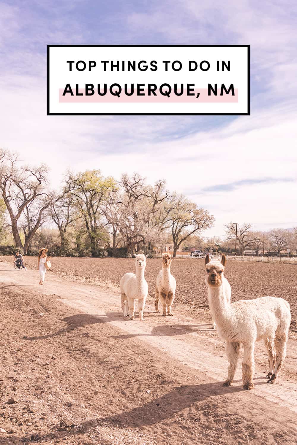 15 Top Things To Do In New Mexico | A Taste of Koko