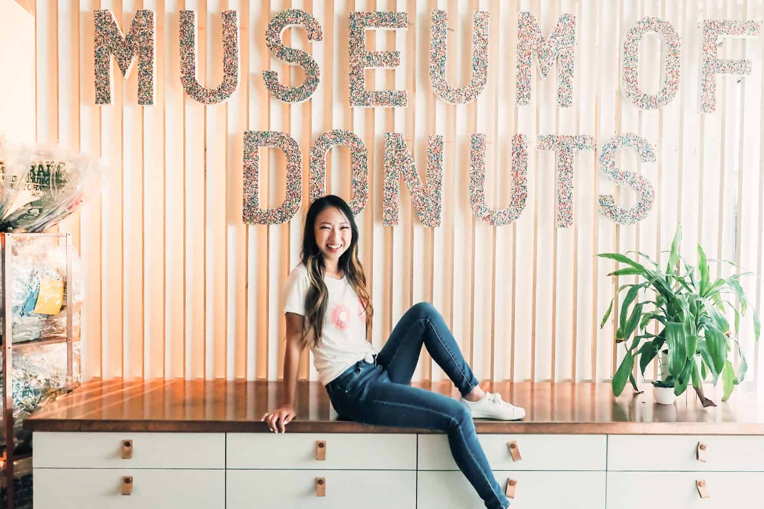 Museum of Donuts