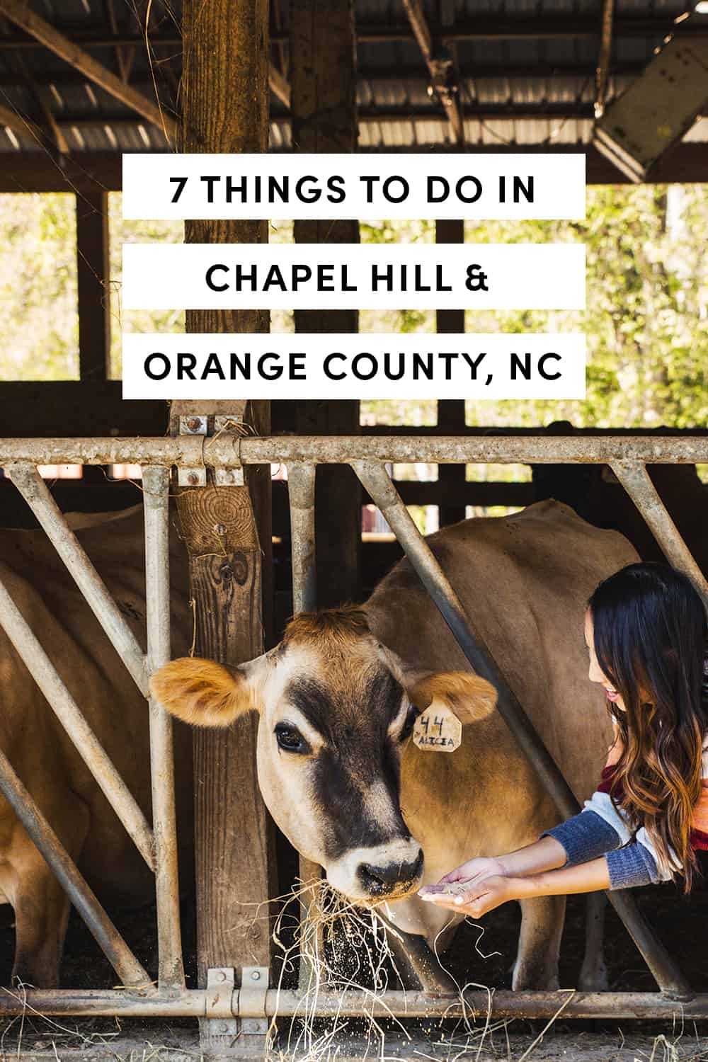 7 Things To Do In Chapel Hill and Orange County, NC