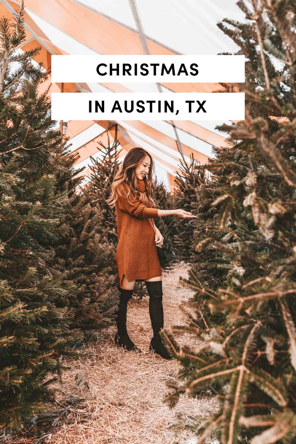 Christmas in Austin, TX