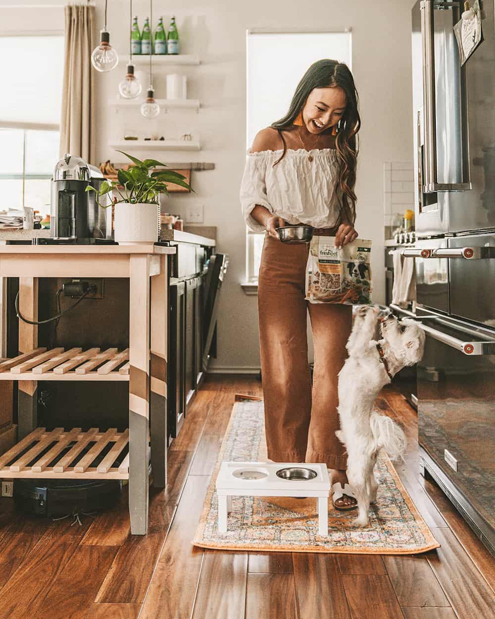 Freshpet dog food