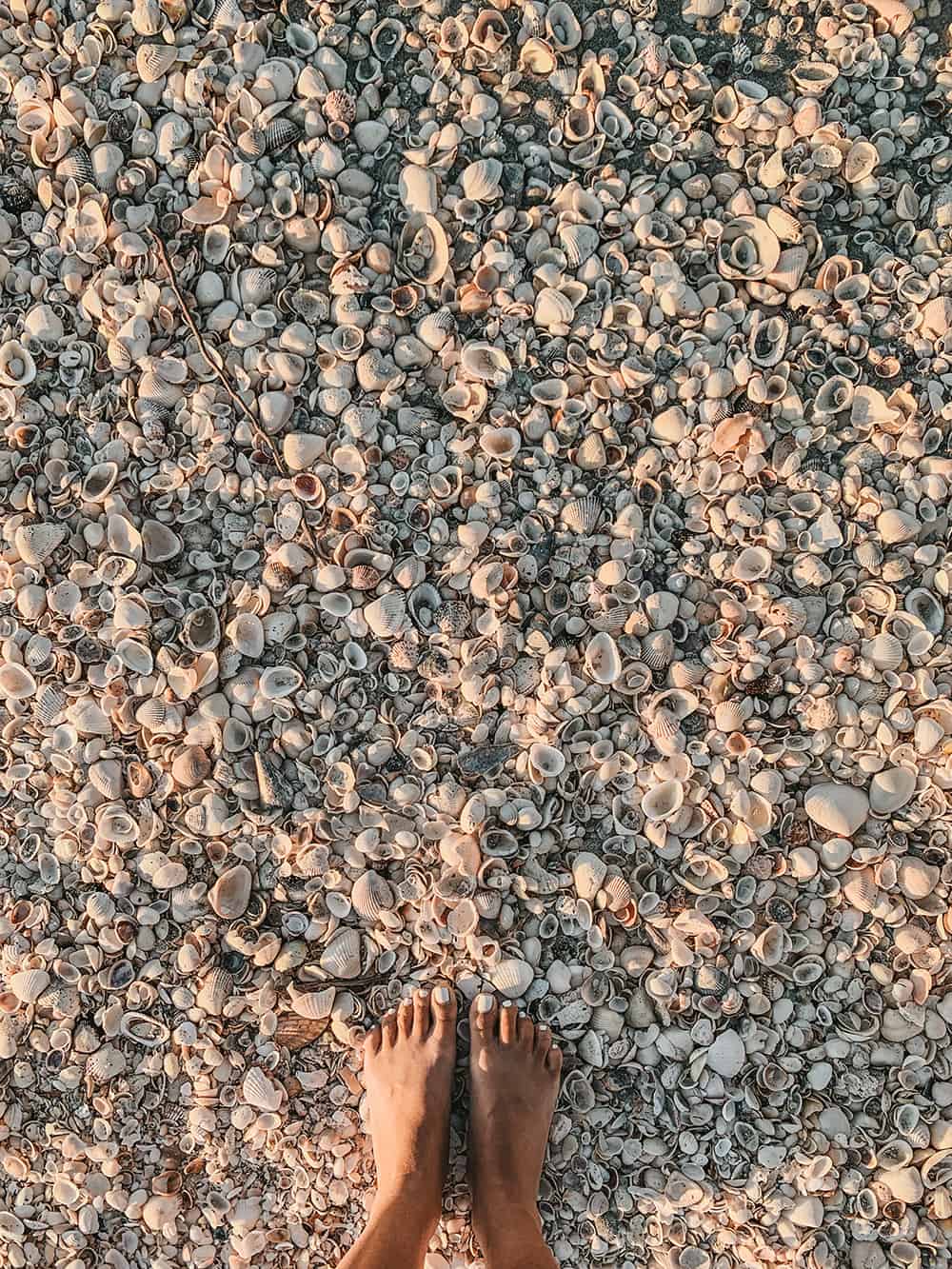 Bowman's Beach in Sanibel 