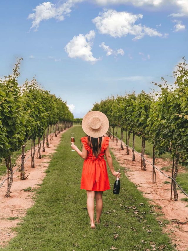Grape Creek Vineyards in Fredericksburg, Texas