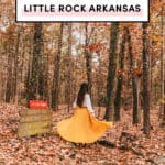 Top Things To Do In Little Rock Arkansas