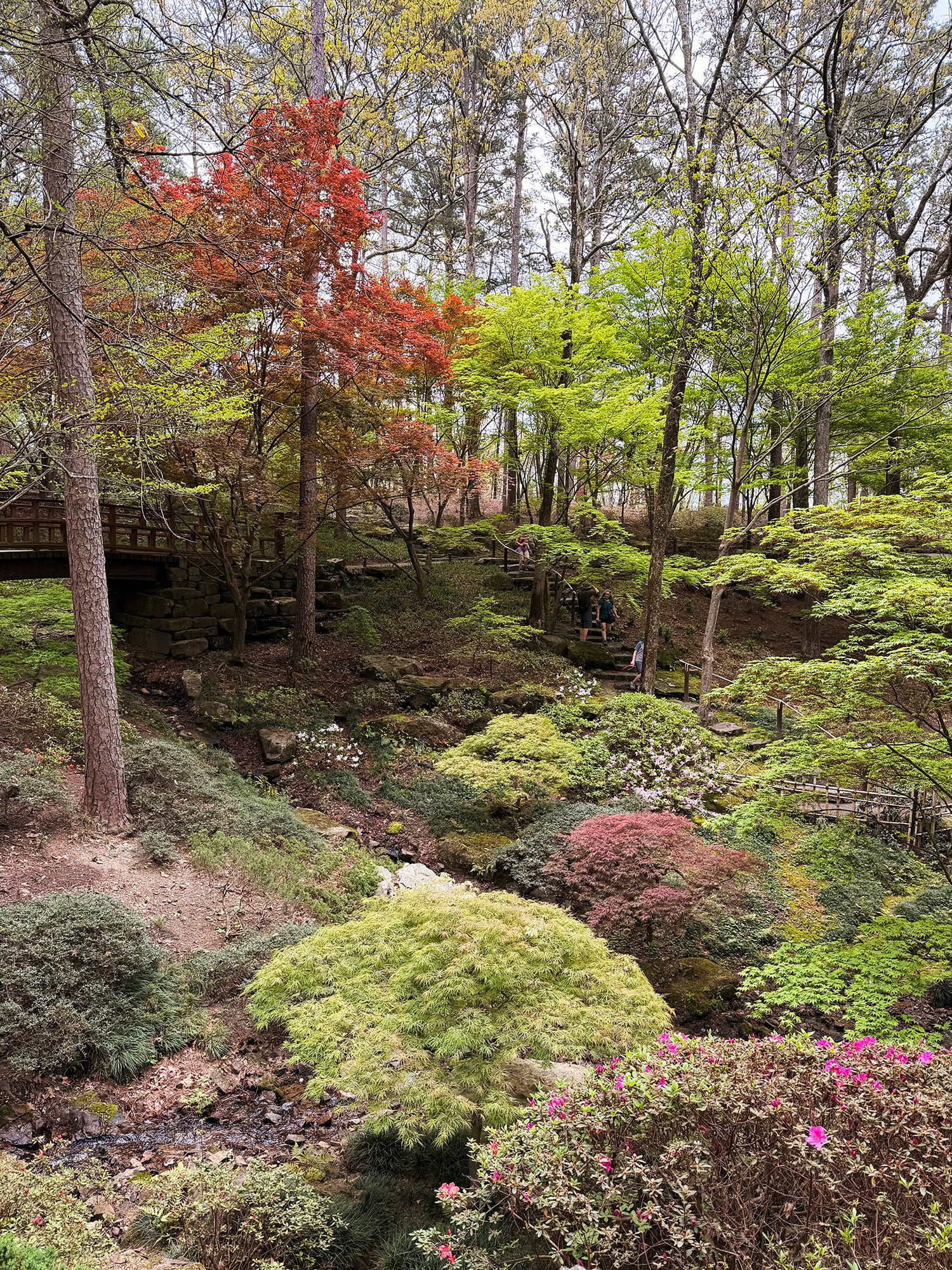 Garvan Gardens in Hot Springs Arkansas