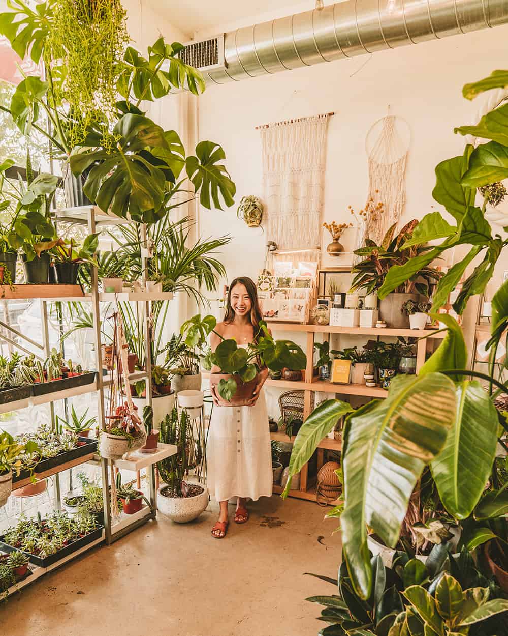 Plant Party shop in East Austin Texas
