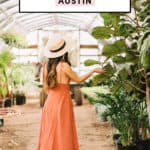Best Plant Shops In Austin