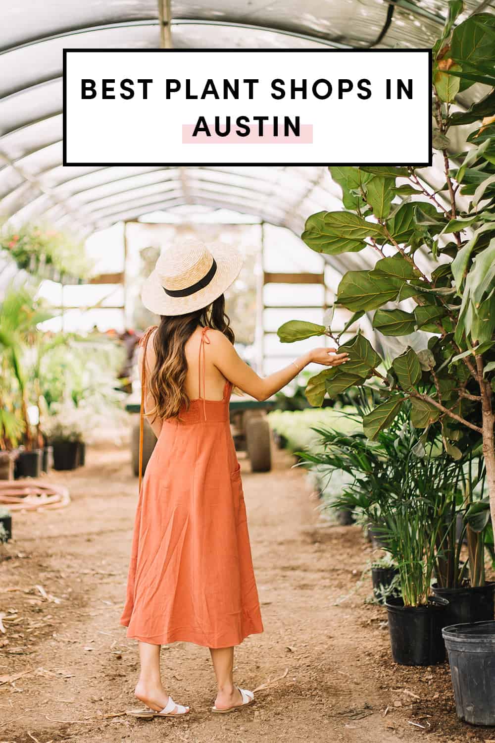 Best Plant Shops In Austin