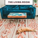 Best rugs for the living room