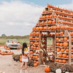 Best pumpkin patches in Austin