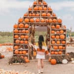 Sweet Eats Farm | Best pumpkin patches in Austin | pumpkin farm | pumpkin barn