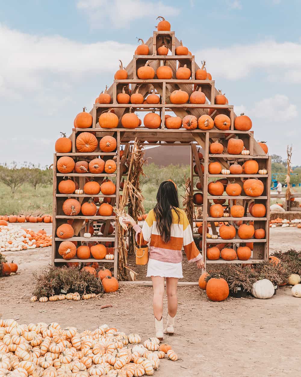 Sweet Eats Farm | Best pumpkin patches in Austin | pumpkin farm | pumpkin barn