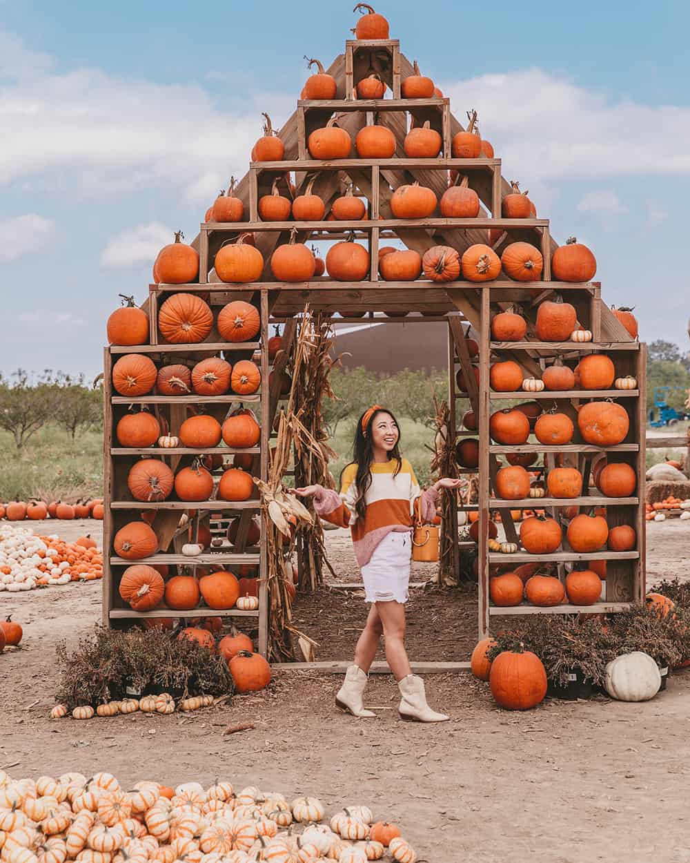 Pumpkin patch at Sweet Eats Farm in Georgetown Texas | best pumpkin patches in Austin