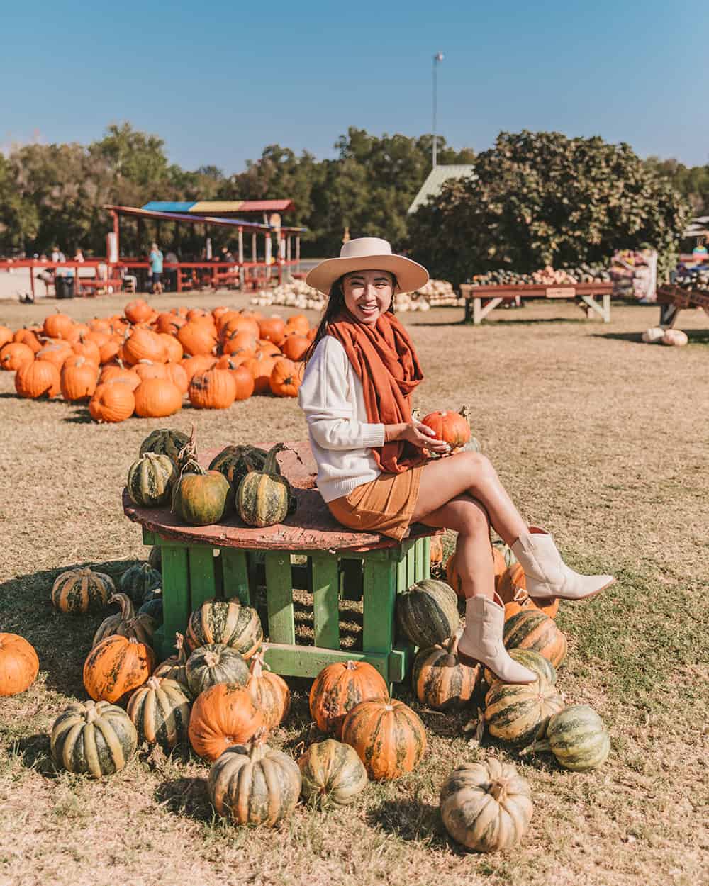 Pumpkin patch at Sweet Berry Farm in Marble Falls, Texas | A Taste of Koko