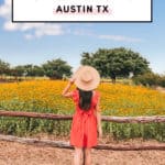 Best Road Trips From Austin