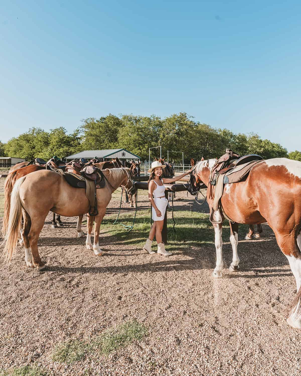 Sunset horseback ride at Brazos Bluffs Ranch in Waco Texas