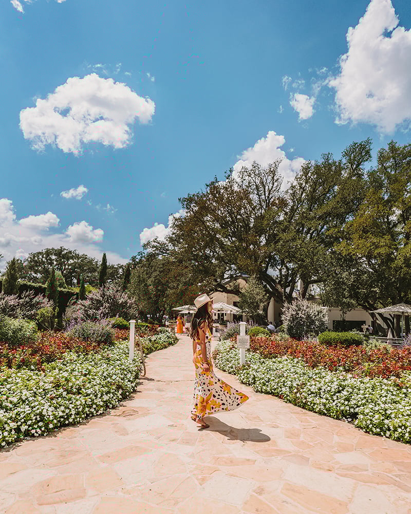 Best wineries & vineyards in Fredericksburg Texas