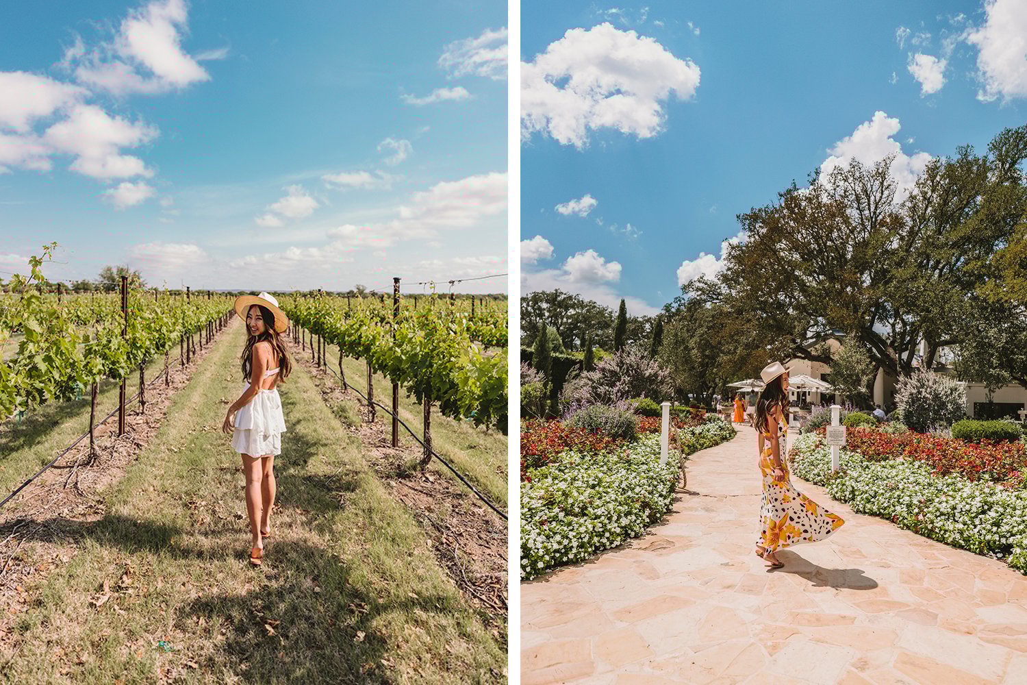 15 Best Wineries In Fredericksburg Texas (Updated Nov 2022)