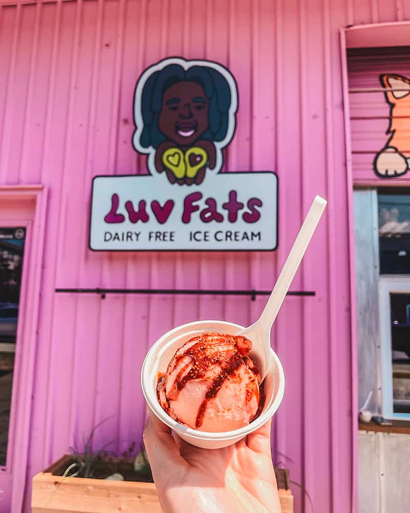 Luv Fat vegan ice cream in Austin