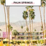 top Things To Do In Palm Springs