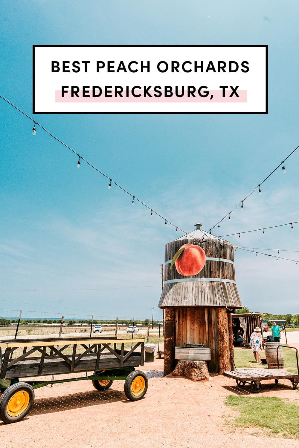 Peach Festival Fredericksburg Texas 2025 Golda Aurelie