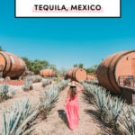 Top things to do in Tequila Guadalajara Mexico