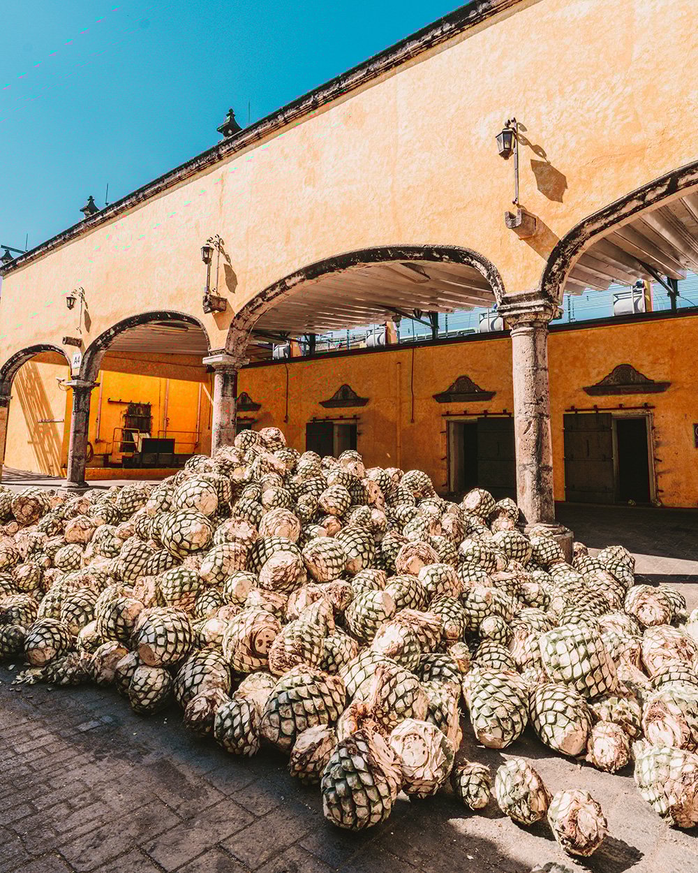 Jose Cuervo Distillery (Fábrica La Rojeña)