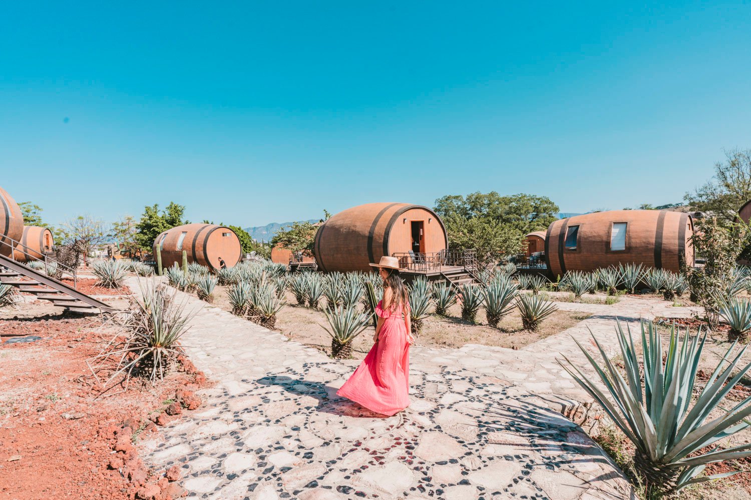 7 Top Things To Do In Tequila Jalisco (2023) A Taste of Koko