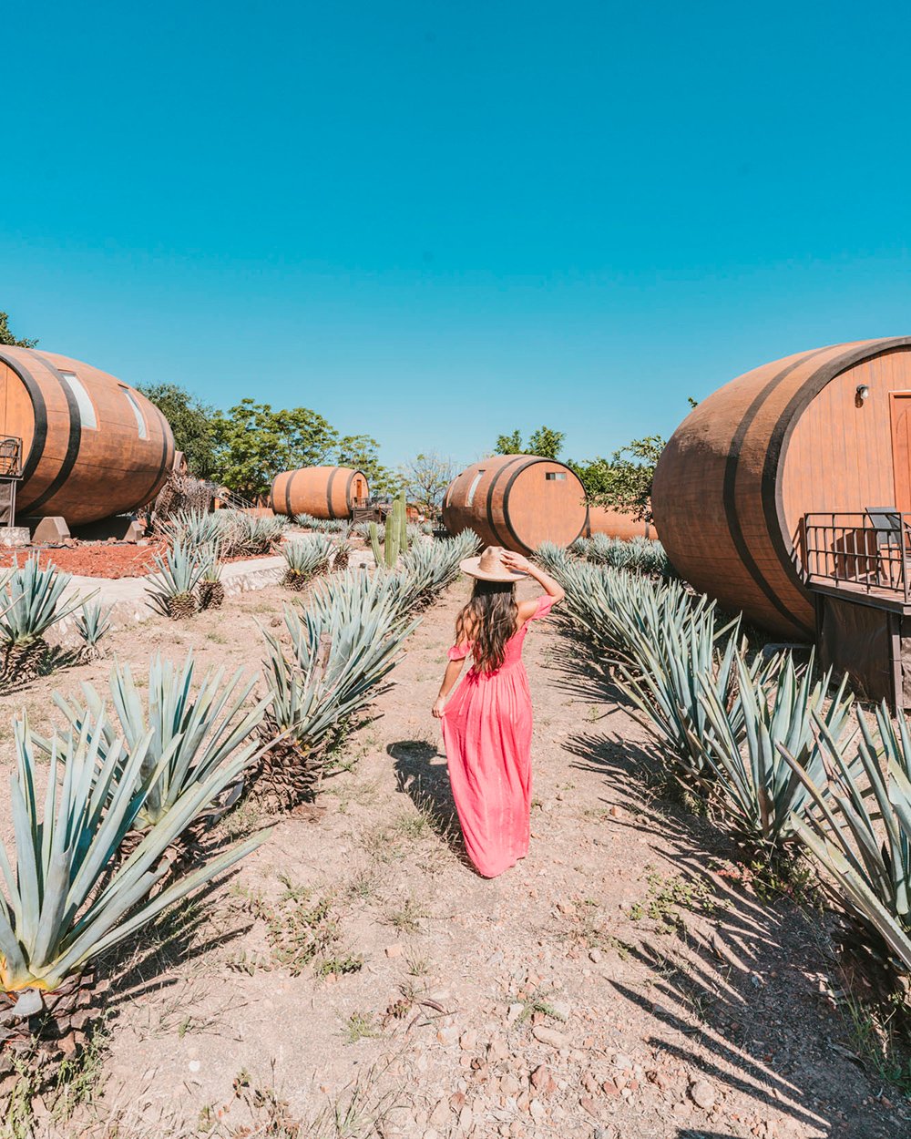 Matices Hotel de Barricas in Tequila